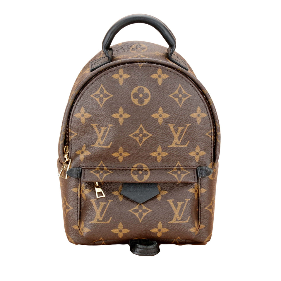 Louis Vuitton Palm Springs Mini Backpack