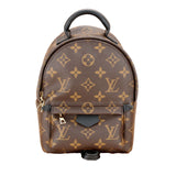 Louis Vuitton Palm Springs Mini Backpack