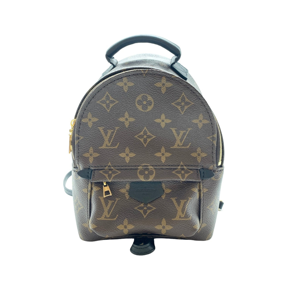 Backpack Luxury Designer By Louis Vuitton Size: Small