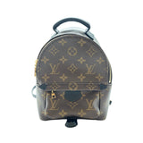 Backpack Luxury Designer By Louis Vuitton Size: Small