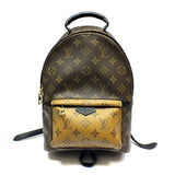 Louis Vuitton Monogram Reverse Palm Springs Backpack PM Rucksack