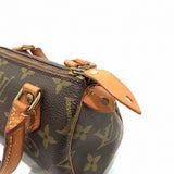 Louis Vuitton Monogram Mini Speedy Shoulder Bag