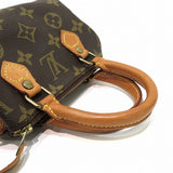 Louis Vuitton Monogram Mini Speedy Shoulder Bag