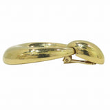 Christian Dior Earrings Accessory