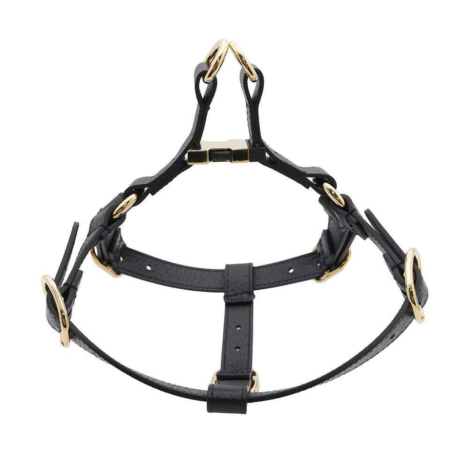 Gucci Pet Harnesses Black692963 Leather Size S