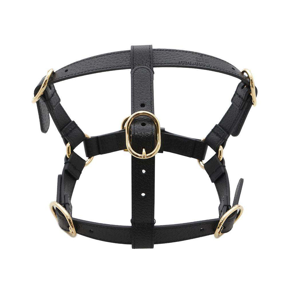 Gucci Pet Harnesses Black692963 Leather Size S
