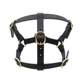 Gucci Pet Harnesses Black692963 Leather Size S