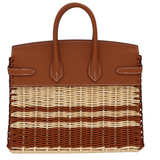 Hermes25cm Birkin Picnic Striped Gold Swift Palladium Hardware