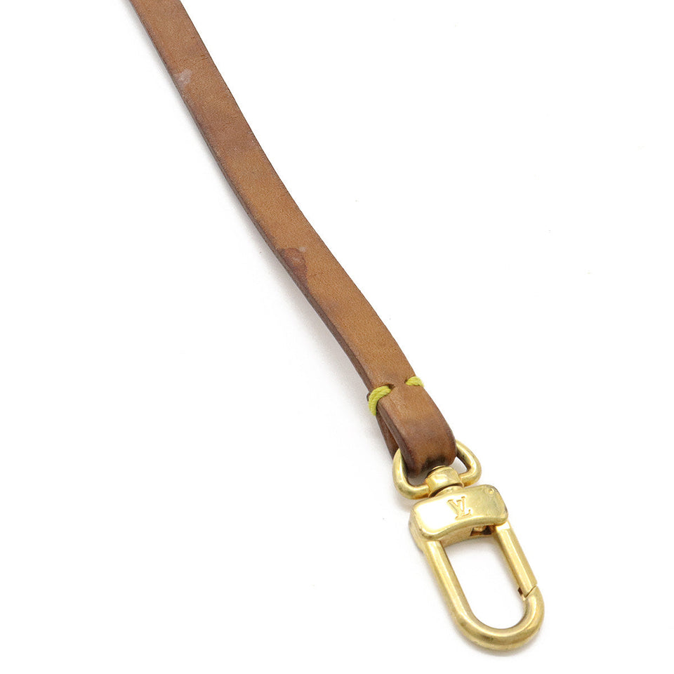 Louis Vuitton Pochette Accessoires Clutch