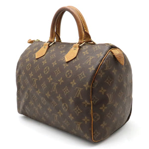 Louis Vuitton Handbag