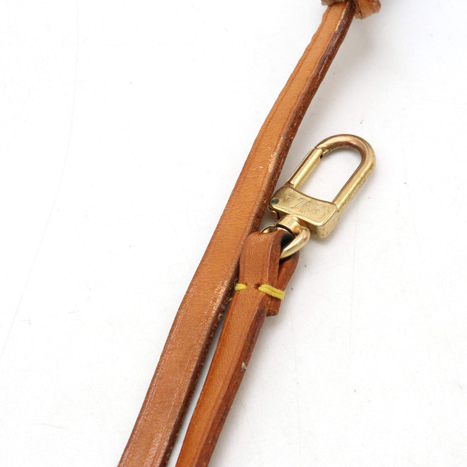 Louis Vuitton Monogram Pochette Accessoires Shoulder Bag
