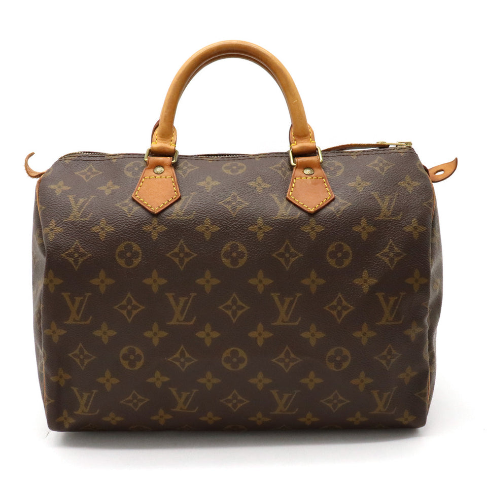 Louis Vuitton Handbag