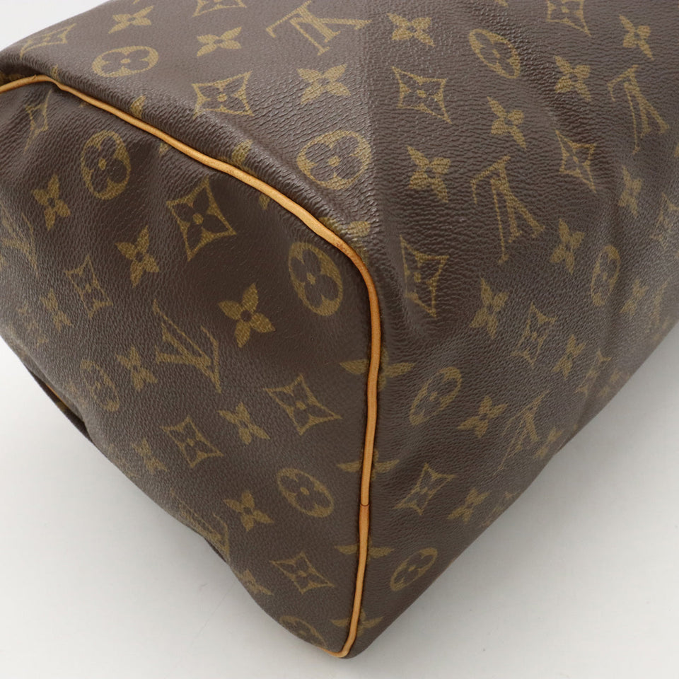 Louis Vuitton Monogram Handbag