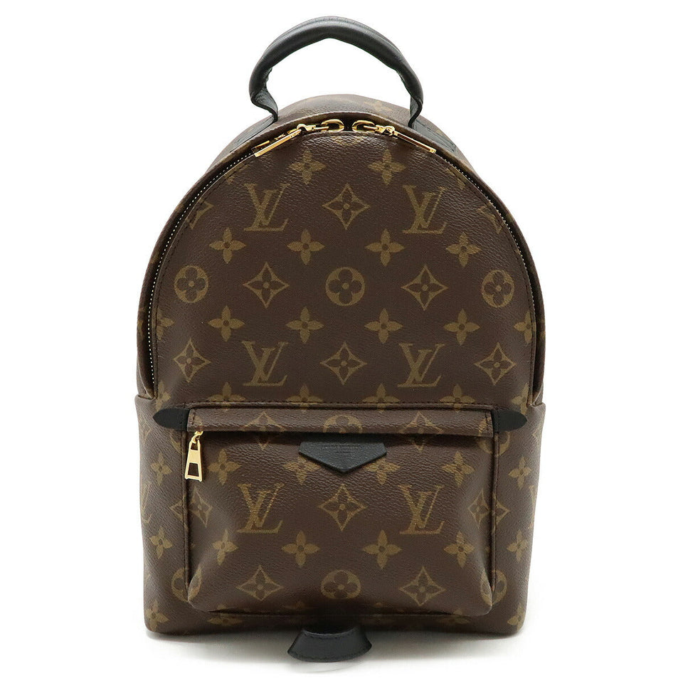 Louis Vuitton Palm Springs PM Monogram Backpack