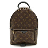 Louis Vuitton Palm Springs PM Monogram Backpack