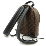 Louis Vuitton Palm Springs PM Monogram Backpack