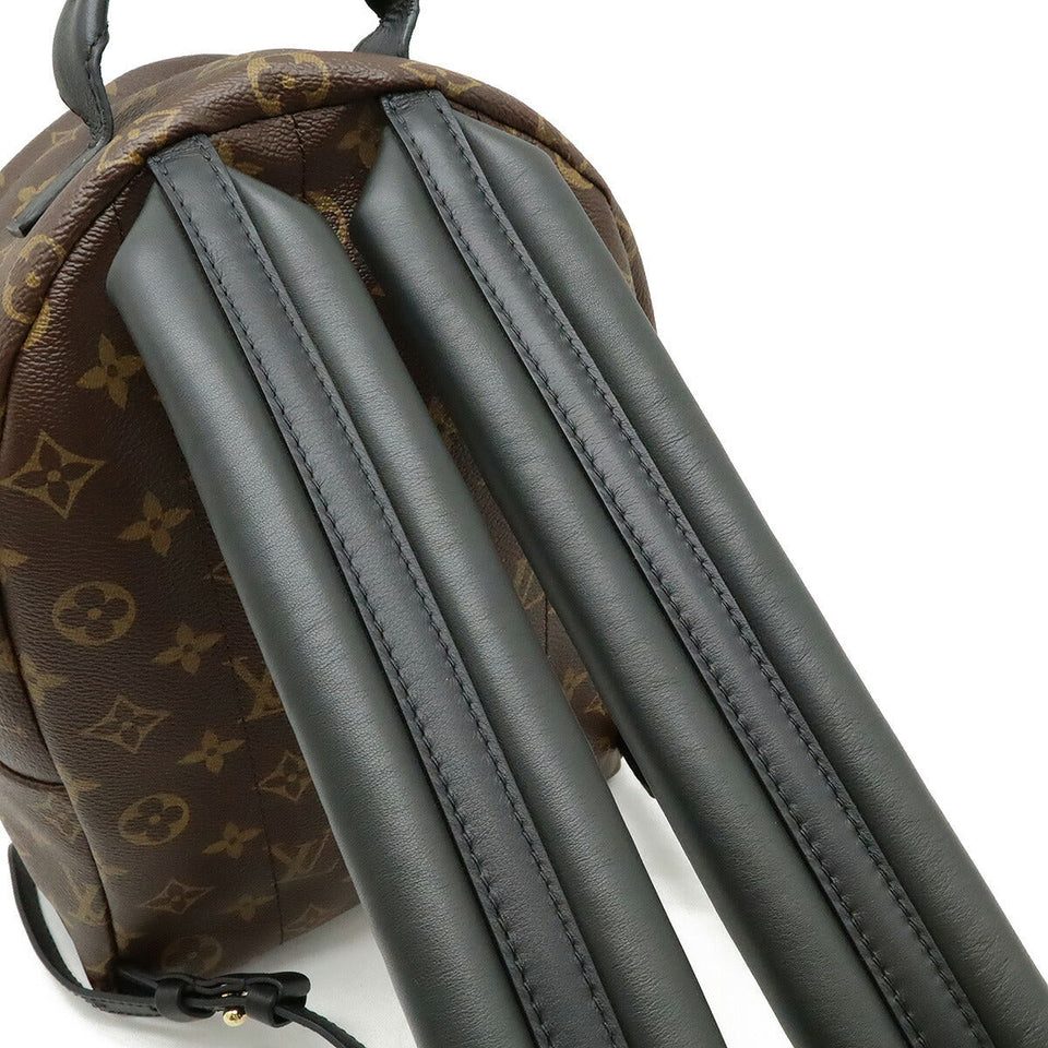 Louis Vuitton Palm Springs PM Monogram Backpack