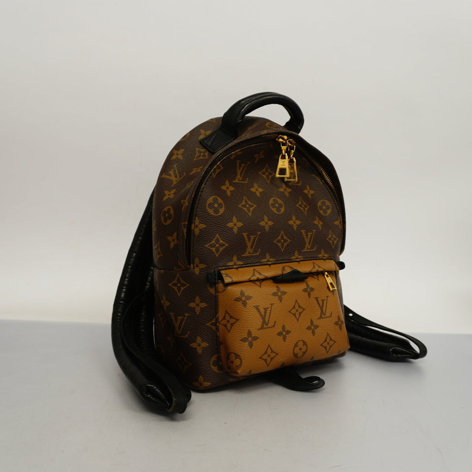 Louis Vuitton Rucksack Monogram Reverse Palm Springs PM Backpack