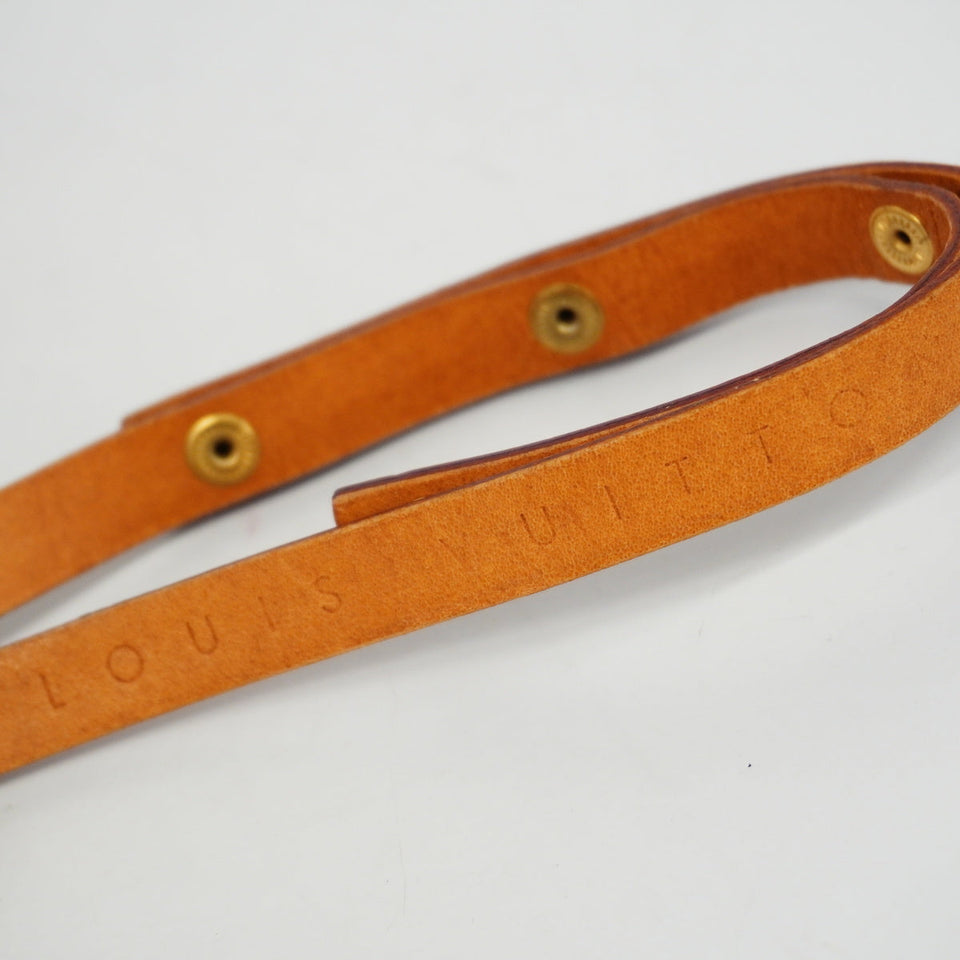 Louis Vuitton Waist Bag Monogram Pochette Florentine