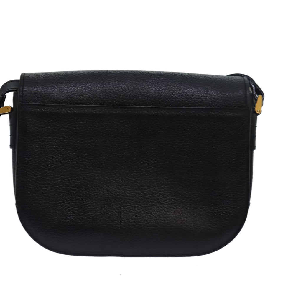 Luxury Burberry Shoulder Bag