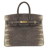 Hermes25cm Birkin Ombre Lizard Gold Hardware