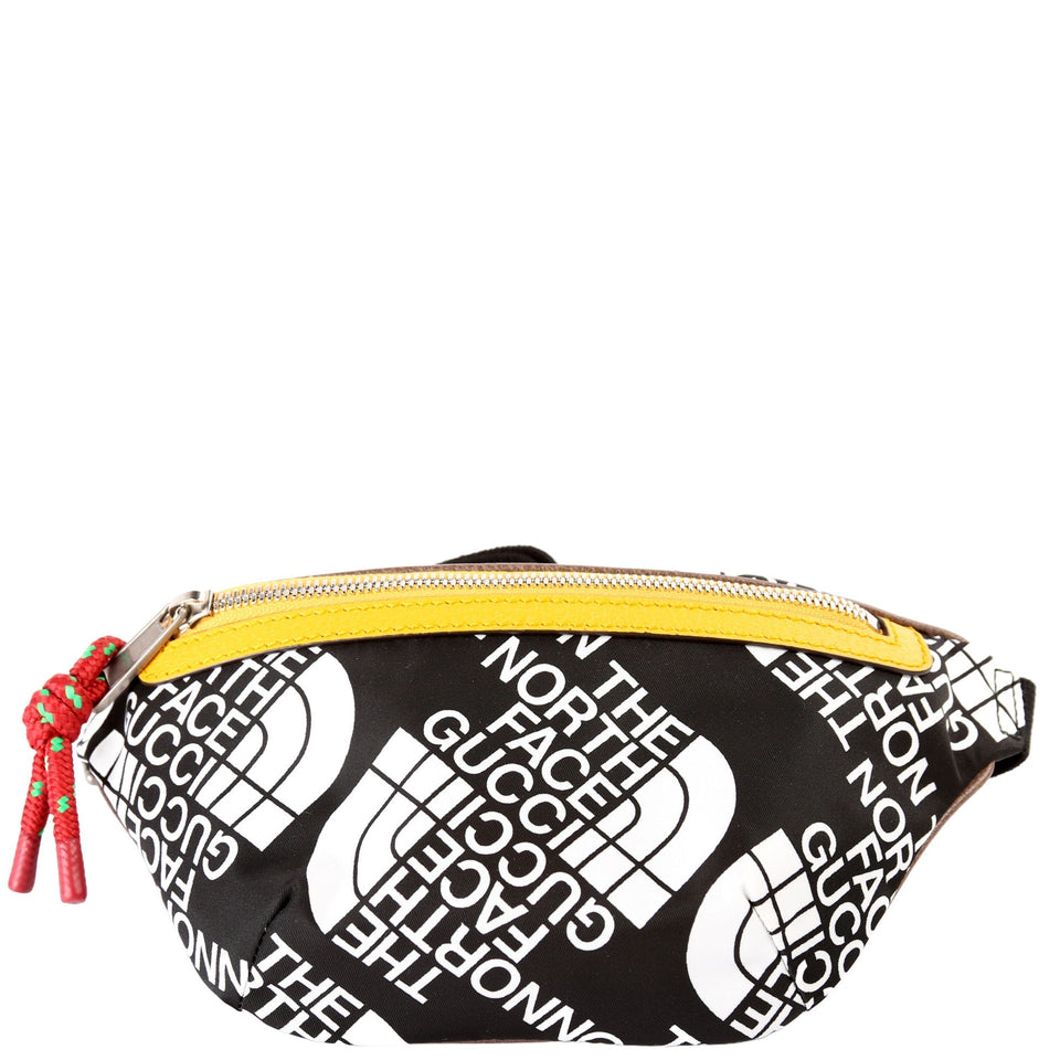 Gucci North Face Belt Small 650299 Bag
