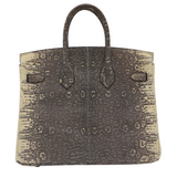 Hermes25cm Birkin Ombre Lizard Gold Hardware
