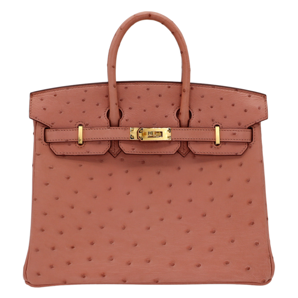 Hermes25cm Birkin Terre Cuite Ostrich Gold Hardware