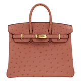Hermes25cm Birkin Terre Cuite Ostrich Gold Hardware