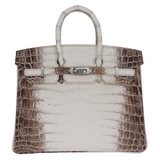 Hermes25cm Birkin Blanc Himalayan Palladium Hardware