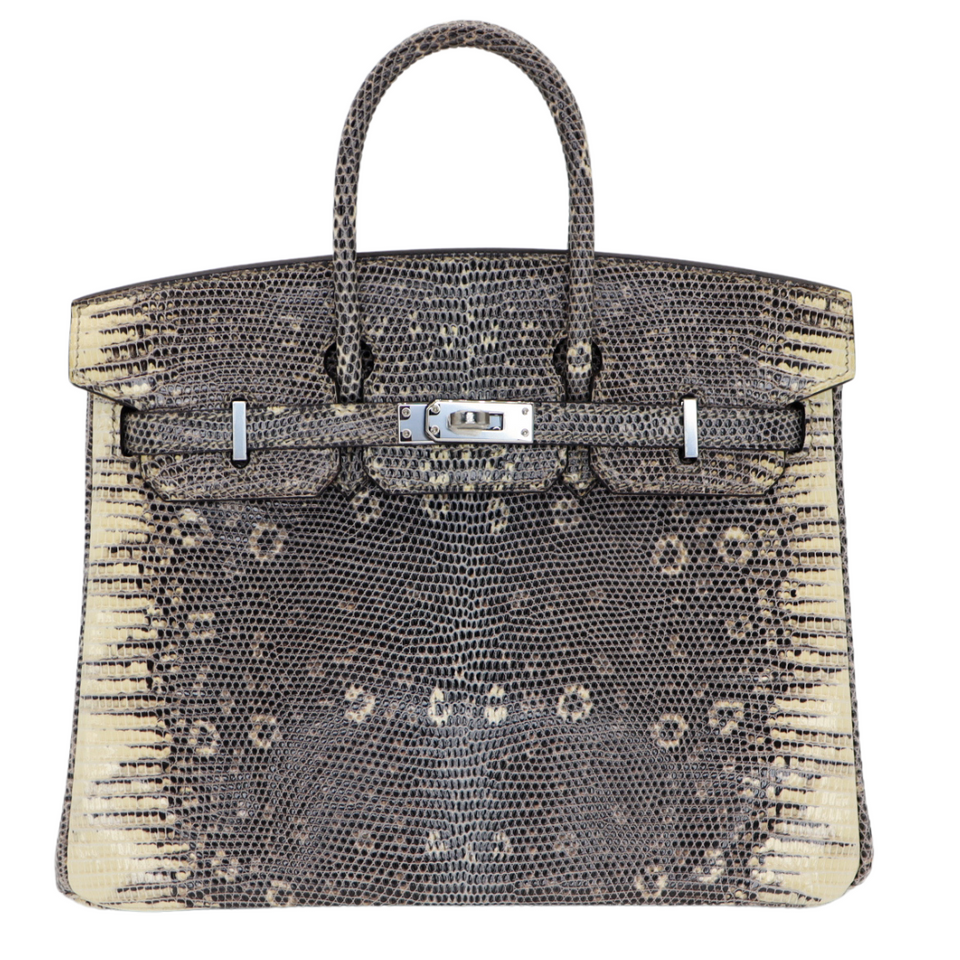 Hermes25cm Birkin Ombre Lizard Palladium Hardware