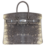 Hermes25cm Birkin Ombre Lizard Palladium Hardware