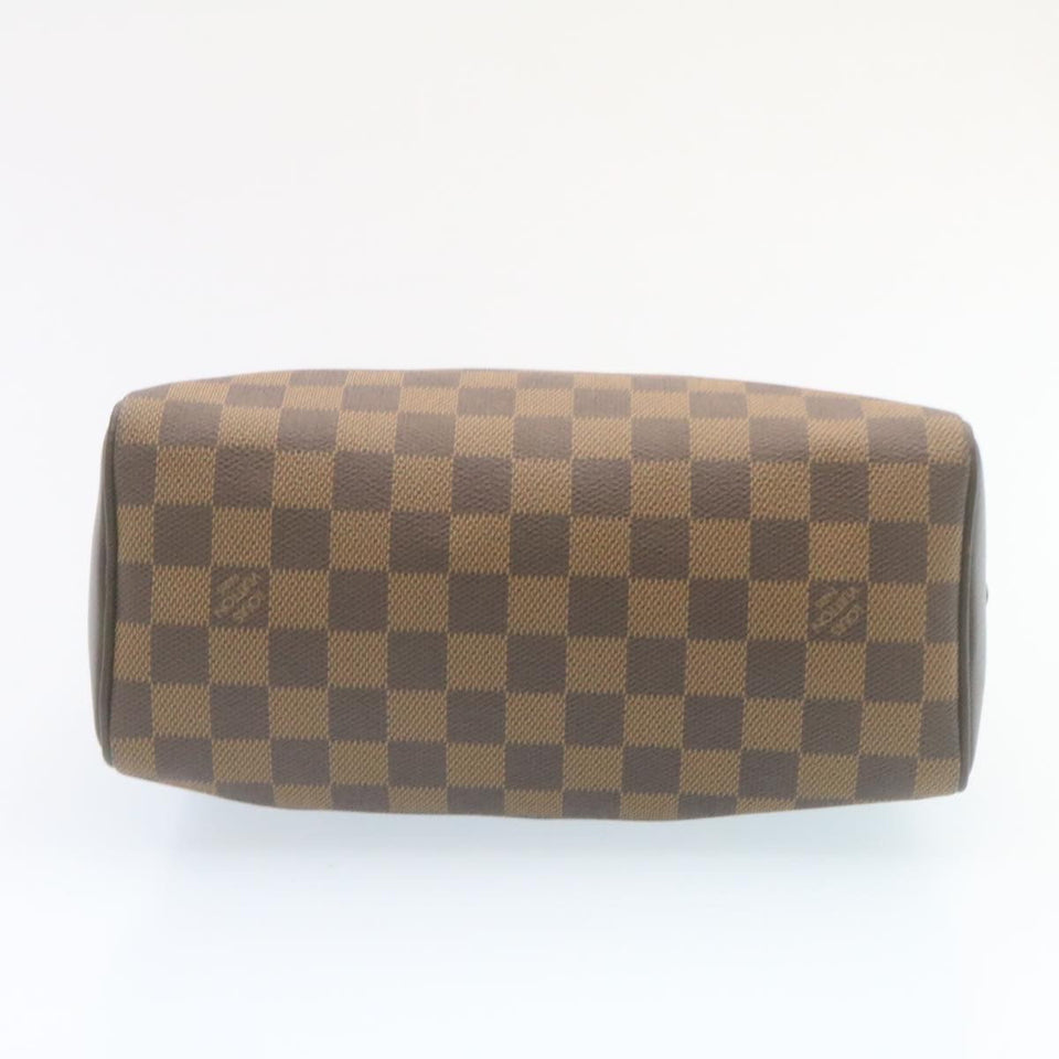 Louis Vuitton Brera Handbag