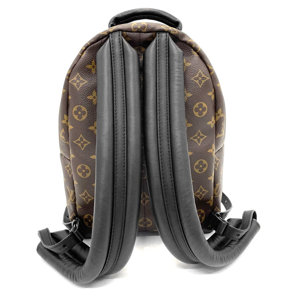 Louis Vuitton Rucksack Palm Springs Backpack PM Monogram Brown