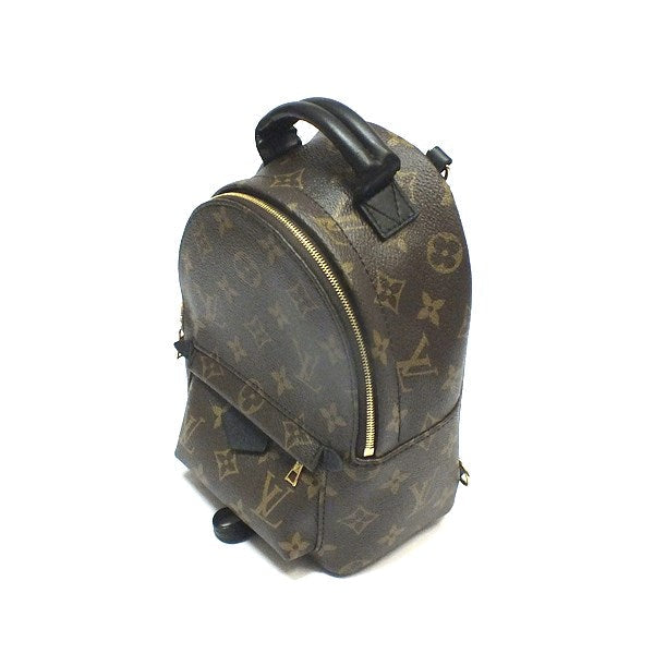 Louis Vuitton Monogram Palm Springs Backpack Mini Rucksack