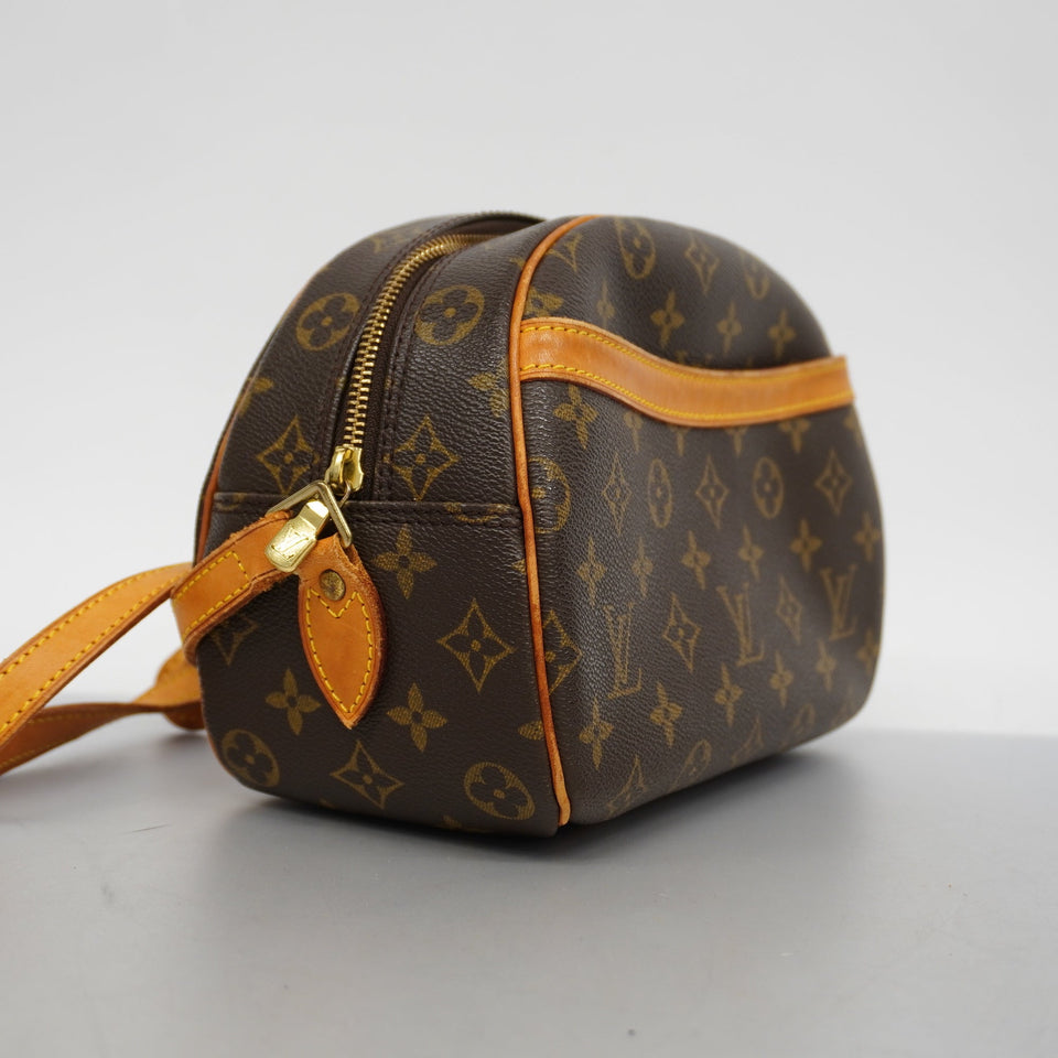 Louis VuittonAuth Monogram Blower Women's Shoulder Bag