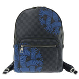 Louis Vuitton Damier Graphite Josh Christopher Nemeth Rope Pattern Backpack