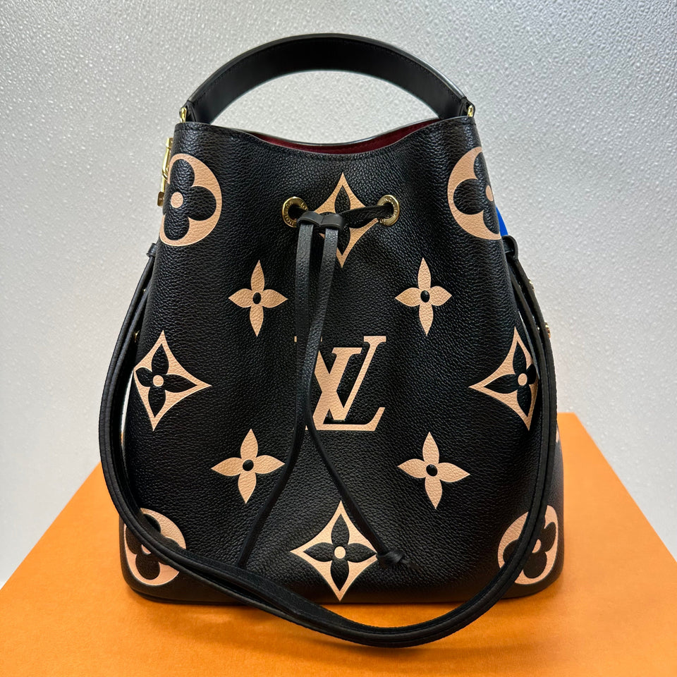 Handbag Designer By Louis Vuitton Size: Medium