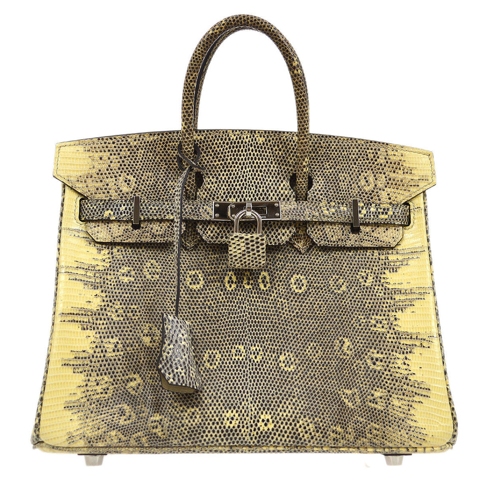 Hermes 2011 BIRKIN 25 Ombre Natural Lizard