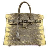 Hermes 2011 BIRKIN 25 Ombre Natural Lizard