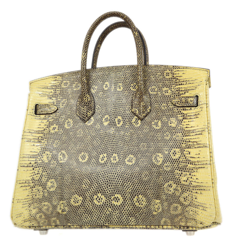 Hermes 2011 BIRKIN 25 Ombre Natural Lizard