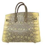 Hermes 2011 BIRKIN 25 Ombre Natural Lizard