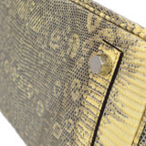 Hermes 2011 BIRKIN 25 Ombre Natural Lizard