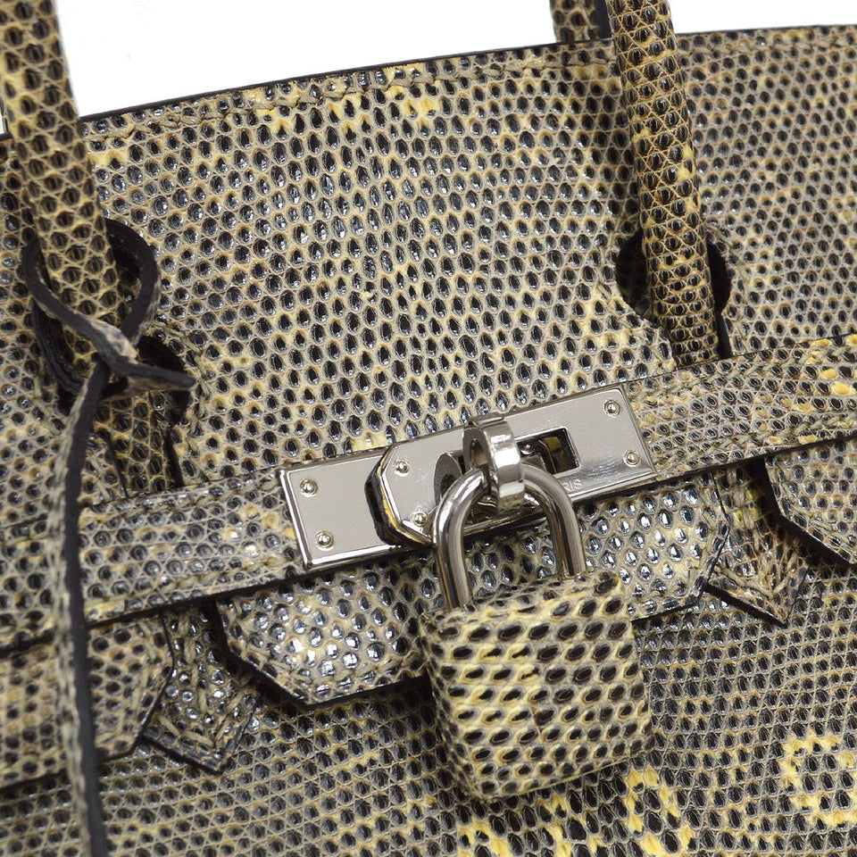 Hermes 2011 BIRKIN 25 Ombre Natural Lizard