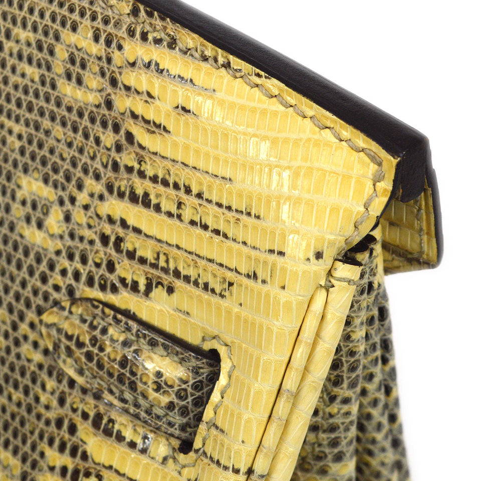 Hermes 2011 BIRKIN 25 Ombre Natural Lizard