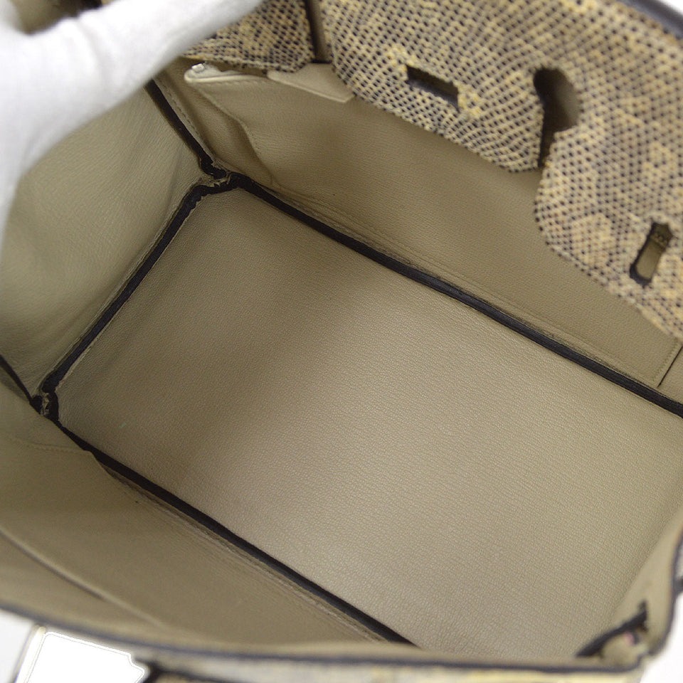 Hermes 2011 BIRKIN 25 Ombre Natural Lizard