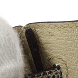 Hermes 2011 BIRKIN 25 Ombre Natural Lizard