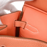 Hermes 2013 BIRKIN 40 Clemence Crevette