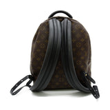 Louis Vuitton Palm Springs Backpack MM Rucksack Bag