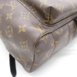 Louis Vuitton Palm Springs Backpack MM Rucksack Bag